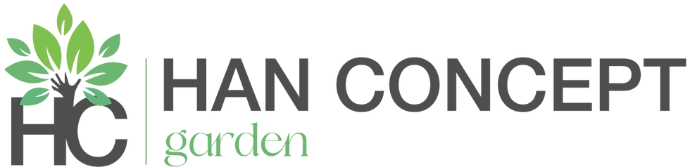 HAN CONCEPT.png