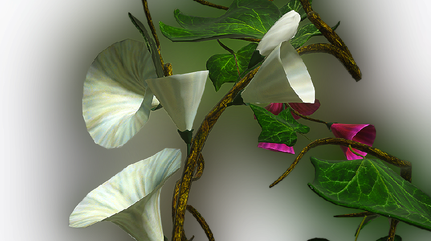 Thumbnail: Floral Vine Multi Use License