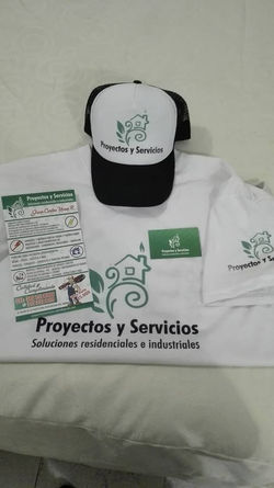 proyectos y sevicios