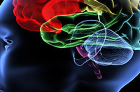 TERAPIA QUÂNTICA: MODULADORES FREQUENCIAIS EM OLIGOTERAPIA FUNCIONAL