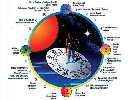 Ciclo Circadiano: nosso relógio!