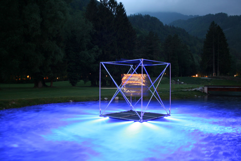 Sylphe_Noctiluca_Foto_Pabsch_2