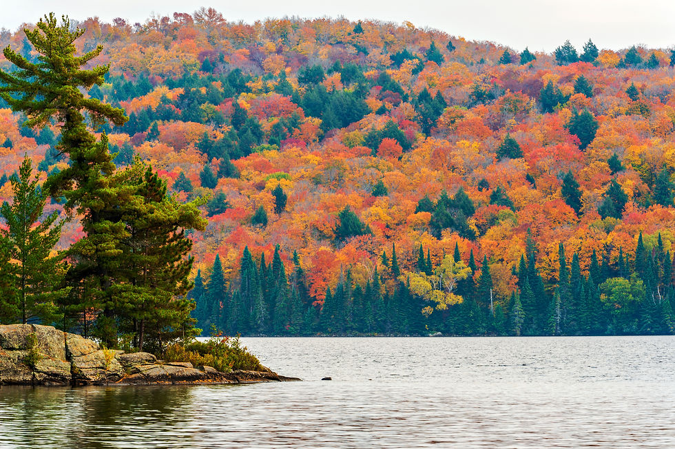 A lake and forested hill during autumn in Algonquin Park.