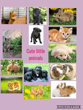 CuteLittleAnimals.PNG