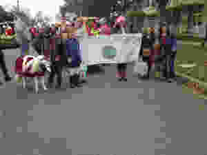 image.jpeg