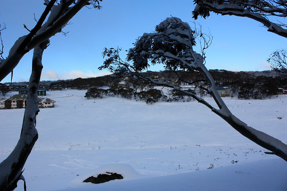 Tambaroora: Winter
