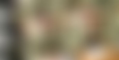Si, la vita è tutto un quiz. Genitori pronti a cacciare soldi per scoprire le soluzioni