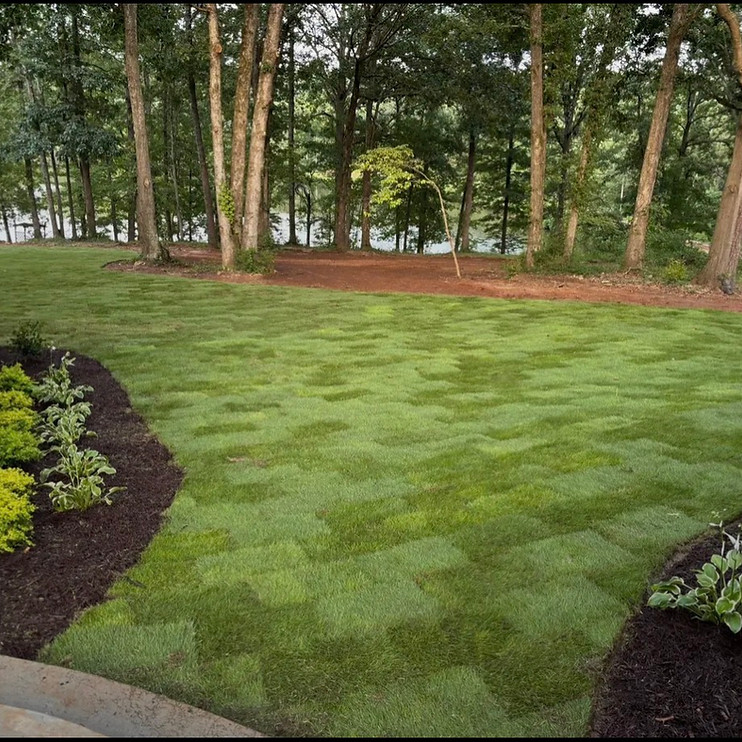 Landscape with river rock drainage and plantings