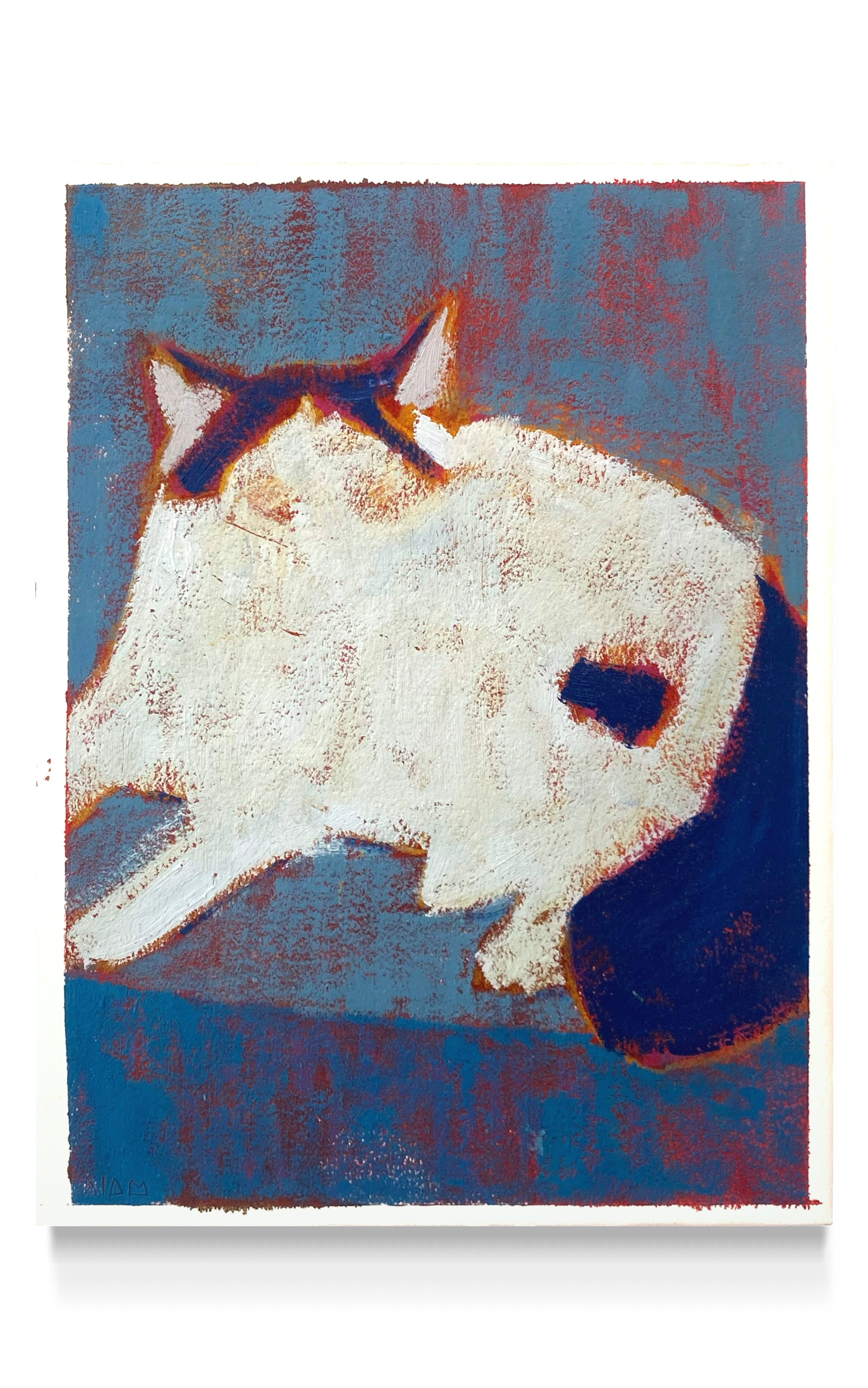 Chat