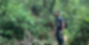 Peter Kelly leads a team through a low land jungle-like bush in the Mississippi River Basin.