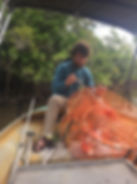 Peter Kelly untangles a mud crab trap on a river in Mission Beach Australia.
