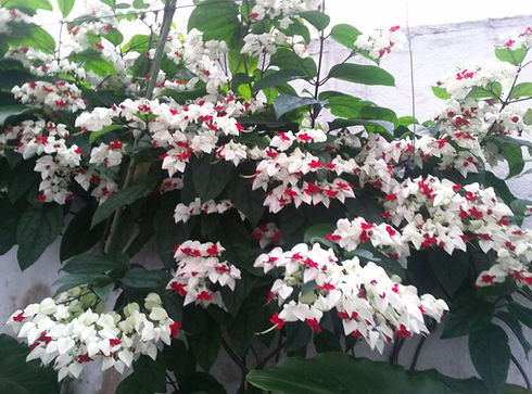 2013-11-17 18.39.48.jpg