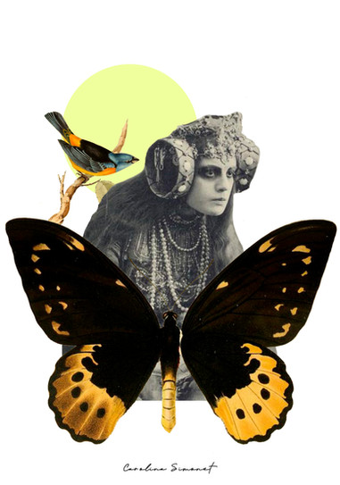 untitled image