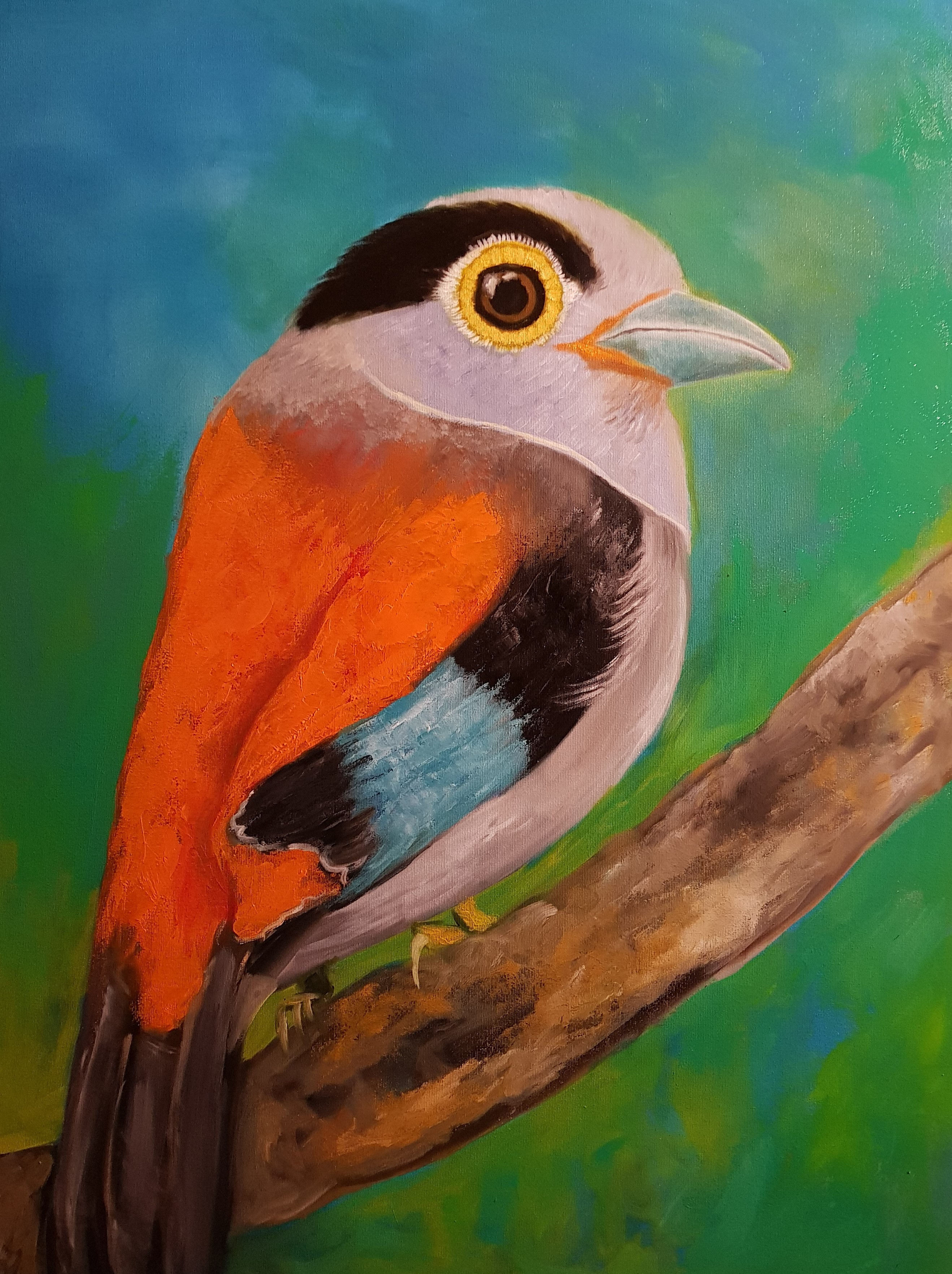 Pássaro de prata-de-peito - 60 x 80 cm - por José Guilherme