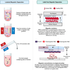 New Collaborative Review Published in Biotechnology and Bioengineering