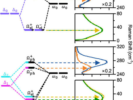 New Collaborative Work Published in ACS Nano