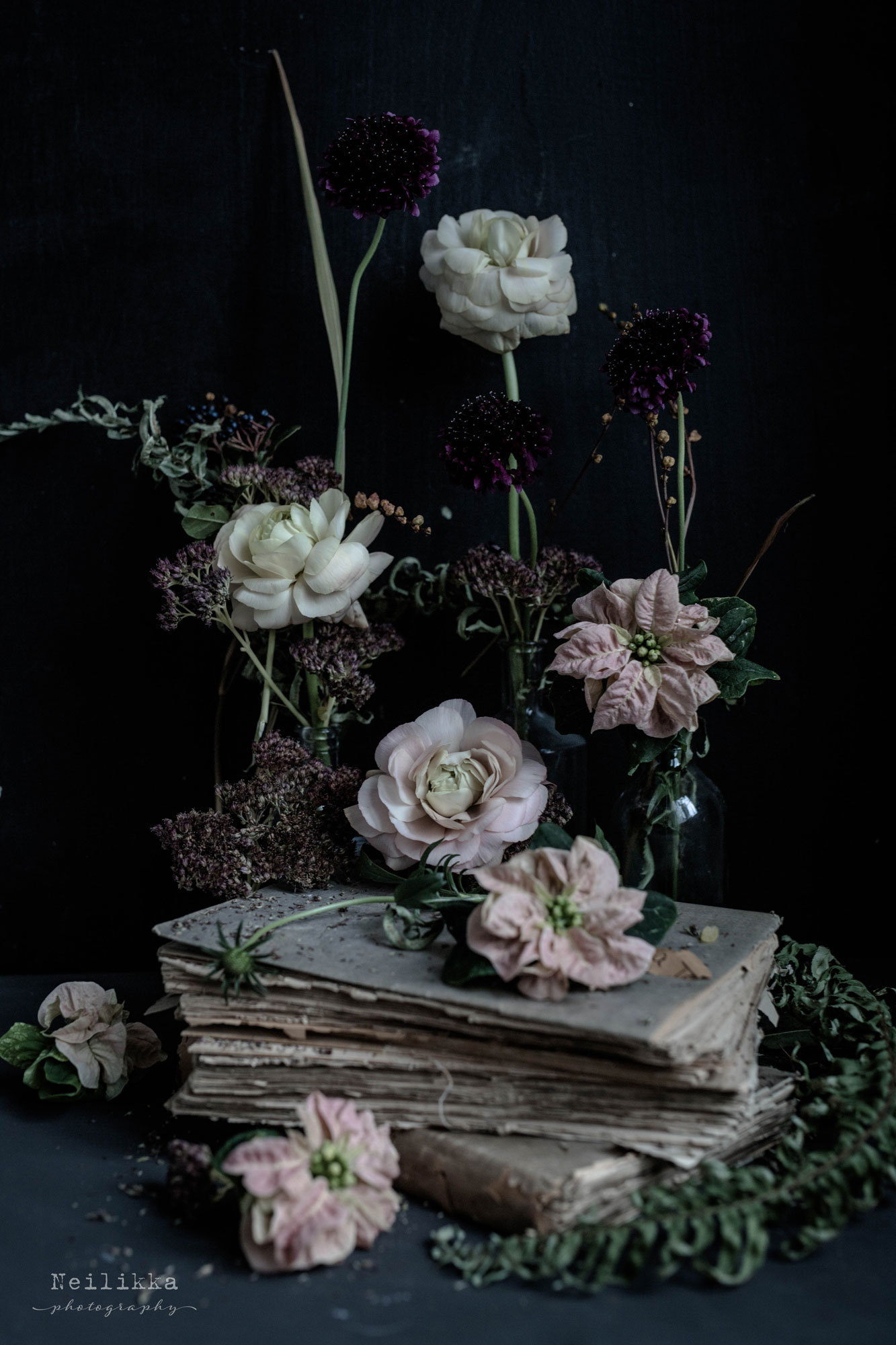 Kukka ja Sisustus Neilikka, Lahti