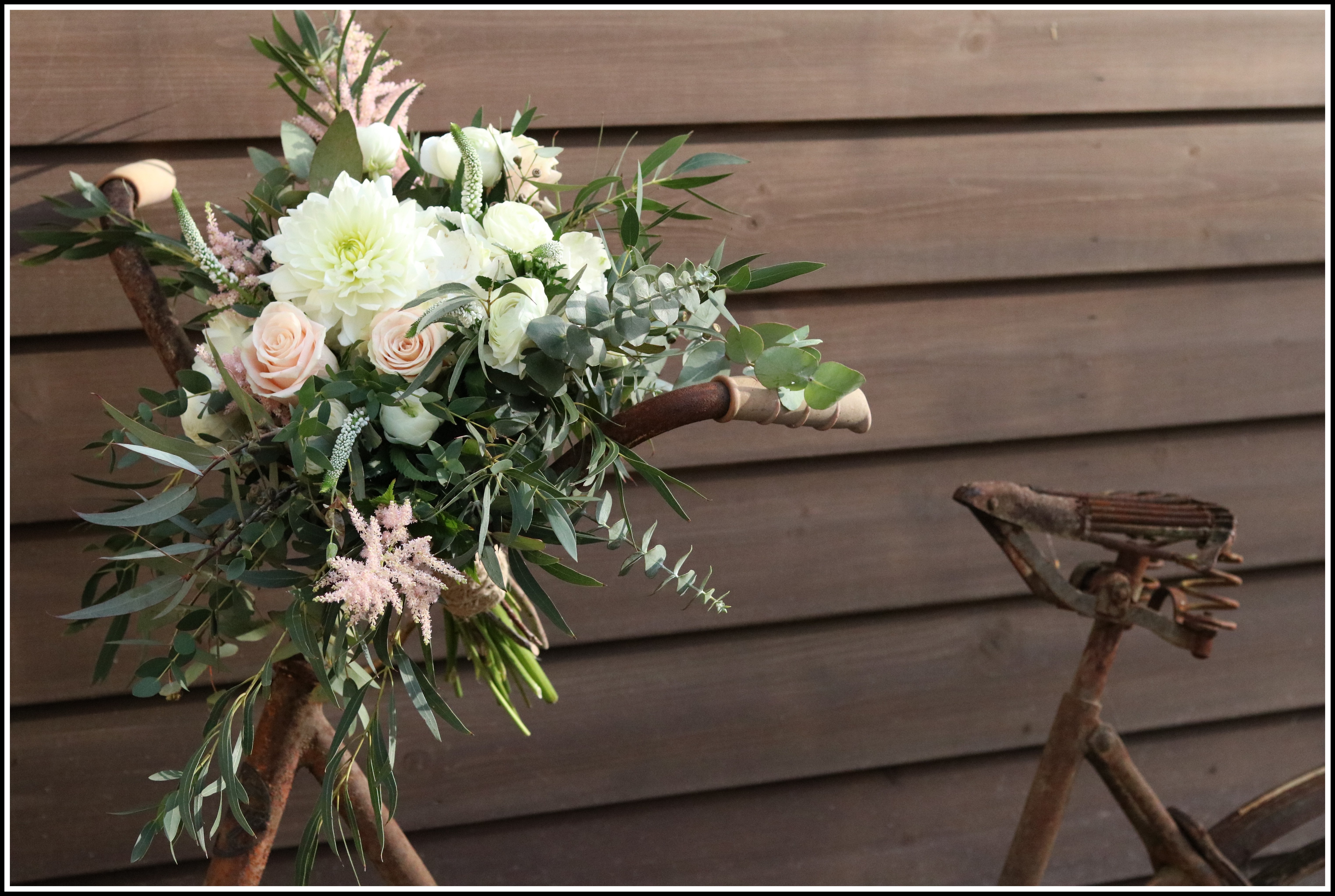 Kukka ja Sisustus Neilikka, Lahti