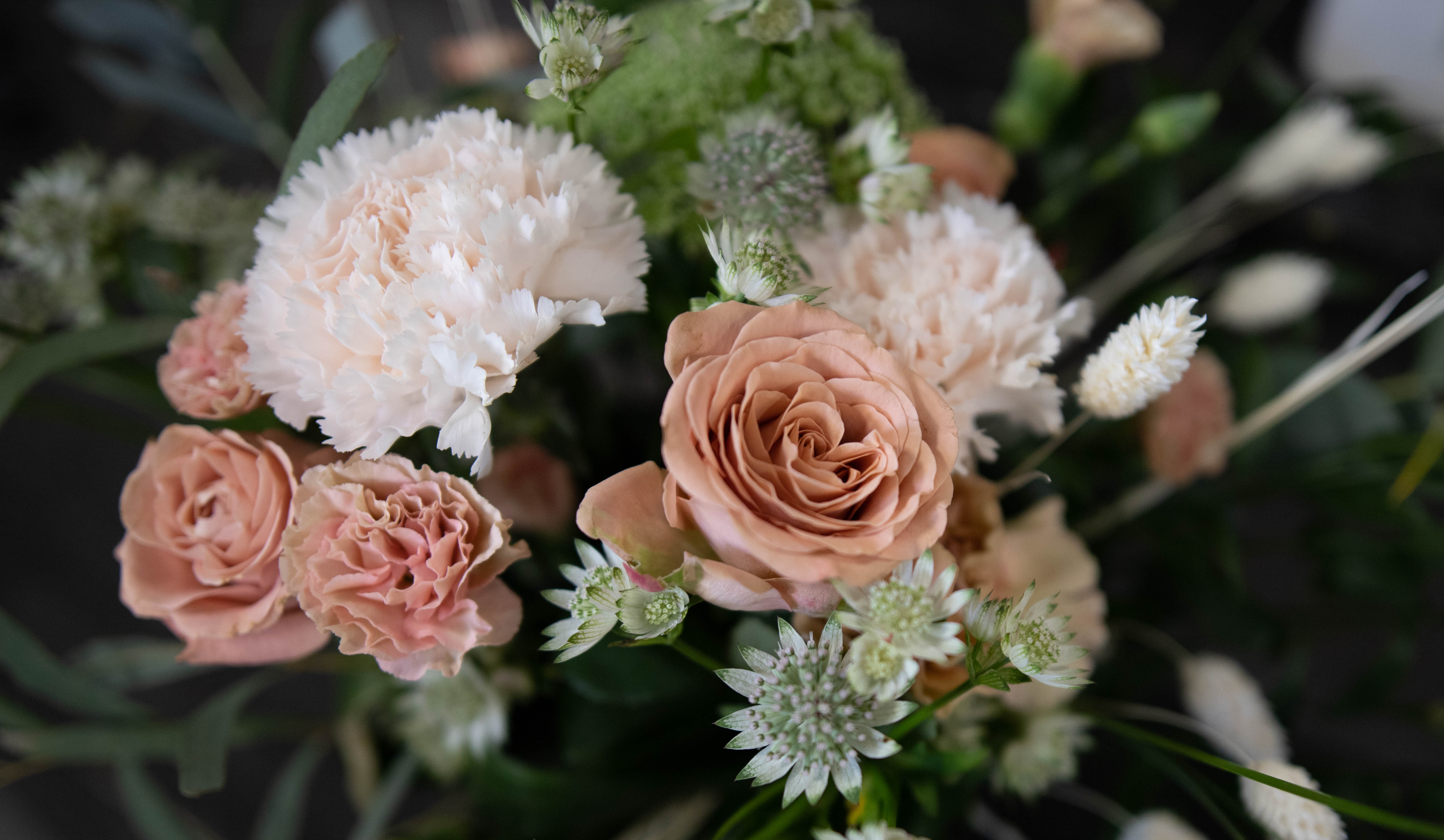 Kukka ja Sisustus Neilikka, Lahti