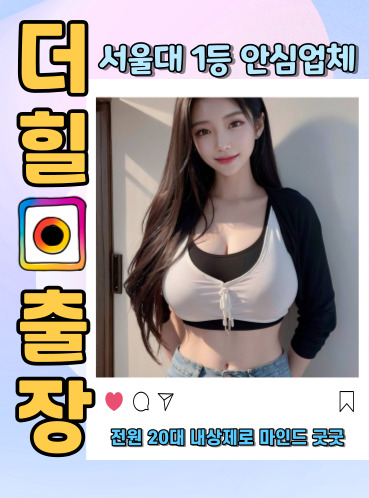 서울대출장안마