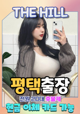 더힐출장 평택시 기존 안내 사진 1