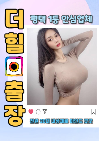 더힐출장 평택시 기존 안내 사진 3
