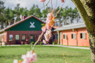 Hof Büchsenschinken