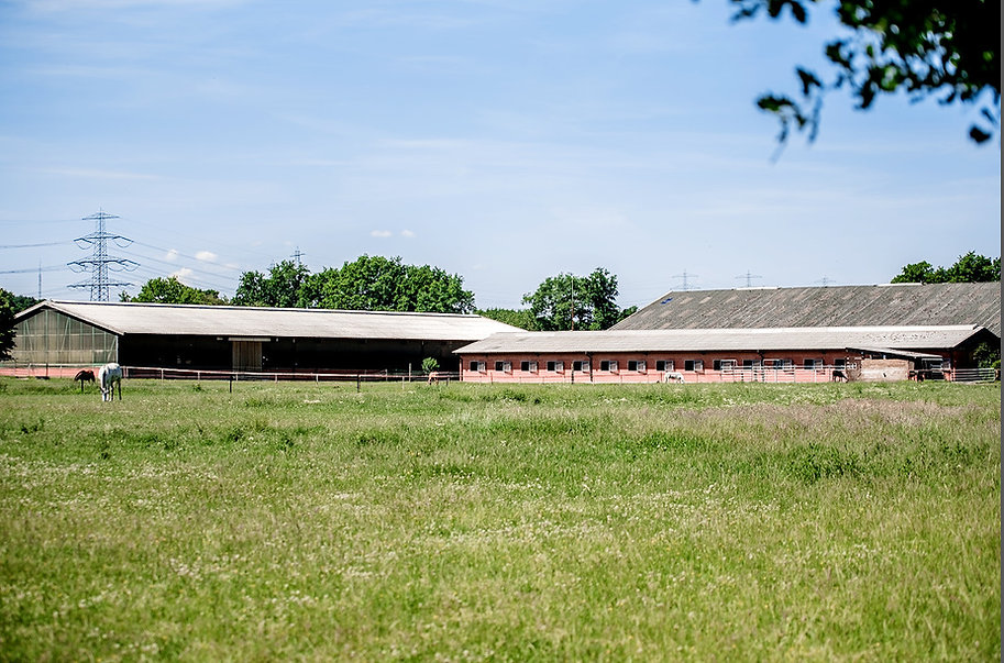 Reitstall Schloh und Halle