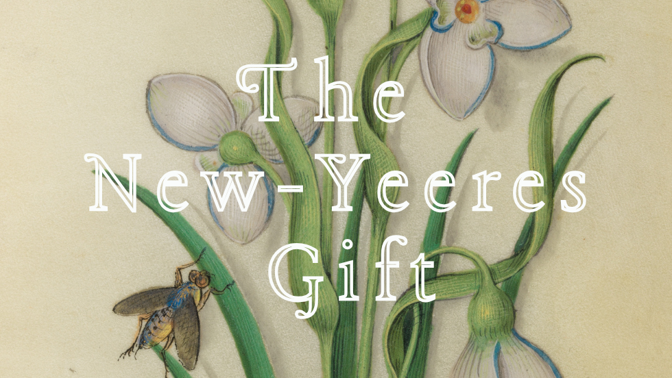 Bitterroot Baroque - The New Yeeres Gift