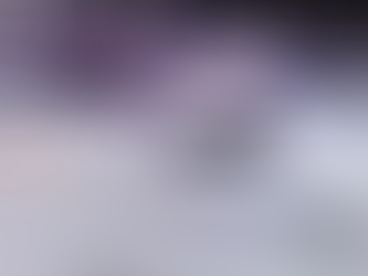 SE ROBAN DOS VEHĆCULOS CON TODO Y LAS CĆMARAS DEL C4