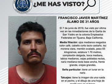 PESQUISA DE FRANCISCO JAVIER MARTÍNEZ ÁLAMO DE 31 AÑOS DE EDAD