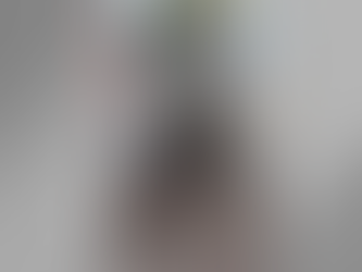 CONTROL CANINO DE ROSARITO BUSCA A DUEĆOS DE PERROS EXTRAVIADOS TRAS FESTEJOS DECEMBRINOS