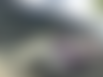 NO HABRĆ AUMENTOS EN LA TARIFA DE TRANSPORTE PĆBLICO