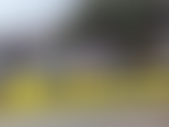 DESINFORMACIĆN: LA CUARTA TRAGEDIA DE TECATE