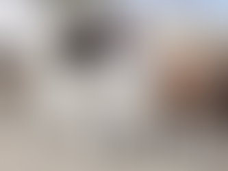 APOYARĆN A QUIENES OPERABAN LAS CALANDRIAS