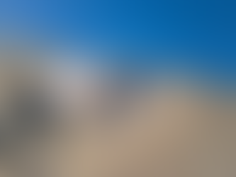 BASTANTE ACTIVIDAD EN CAMPO PARA LOS COLECTIVOS DE BĆSQUEDA ESTE 2025