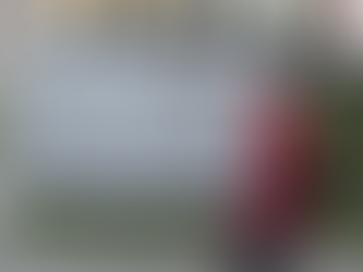 NO HABRĆ CAMPAĆA PARA LA ELECCIĆN DE JUECES Y MAGISTRADOS