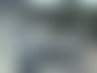 ESTRATEGIAS EN MATERIA DE MOVILIDAD DURANTE EL TIANGUIS TURĆSTICO