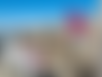 JORNADAS DE LIMPIEZA EN NUESTRAS PLAYAS