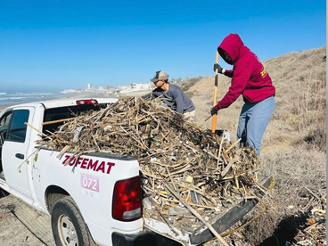 JORNADAS DE LIMPIEZA EN NUESTRAS PLAYAS