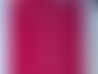 RINDE ADAME MUĆOZ SU INFORME 10X100