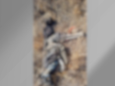 EN 10 DIAS ESTARAN LISTAS LAS PRUEBAS DE ADN