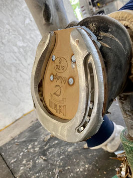 260399261_2795580317400586_7886360602881548861_n (1).jpg