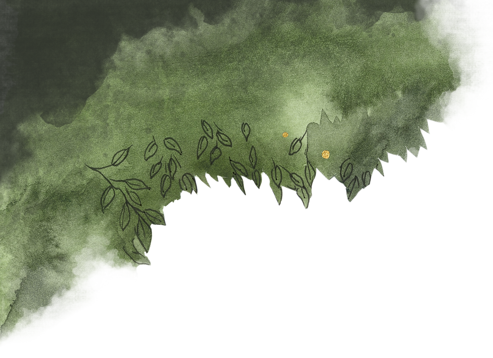 2_Top_Left2.png