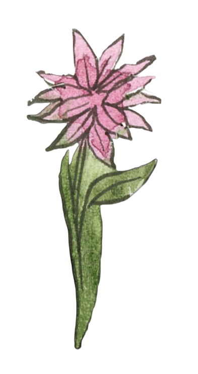 Flower2.png