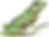 Henry.png