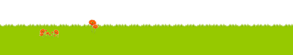 herbe 4.png