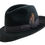 Thumbnail: Selentino Galaxy Fedora