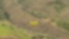 C4.jpg