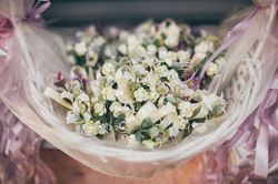 IMG-8051a602e510ce733dcfb9fccb94738f-V